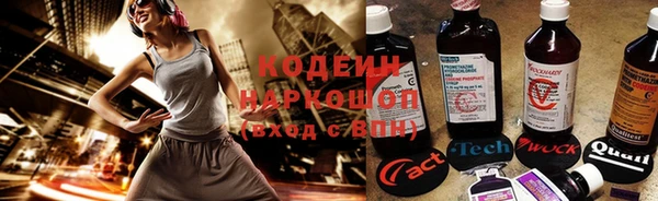 дживик Зеленодольск
