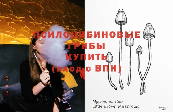 стафф Зерноград