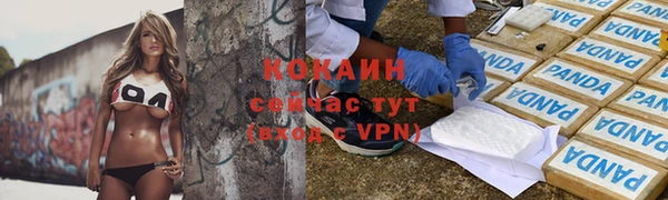 стафф Зерноград