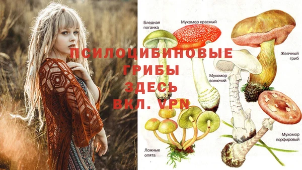 дживик Зеленодольск
