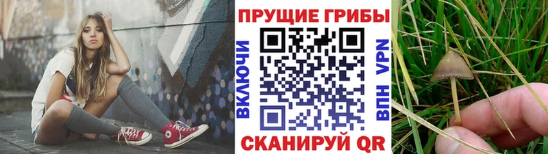 Галлюциногенные грибы Magic Shrooms  Купить где  Пикалёво 