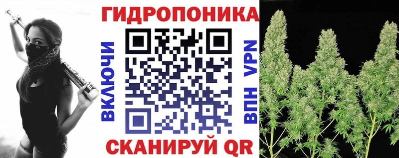Бошки марихуана гибрид  Купить где  Пикалёво 